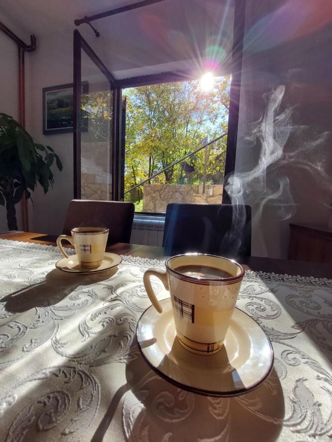 Holiday Home Milanovic Cetynia Zewnętrze zdjęcie