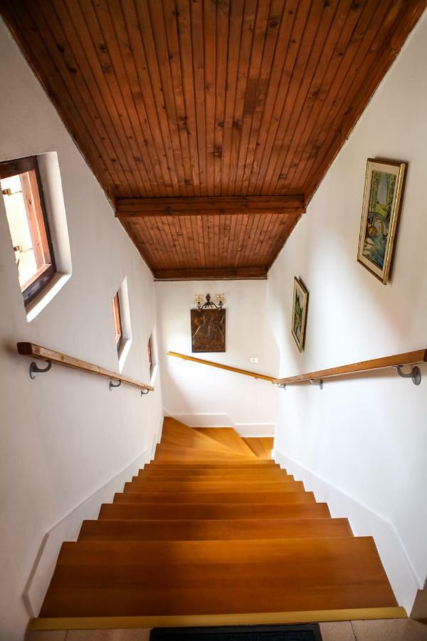Holiday Home Milanovic Cetynia Zewnętrze zdjęcie